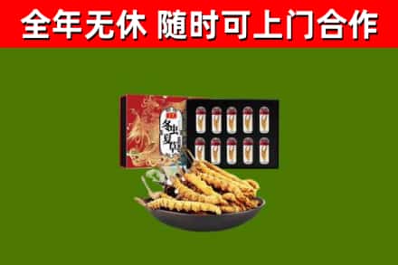 德阳市回收冬虫夏草价格